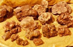 Cala il sipario sulla terza edizione della Festa del Tartufo