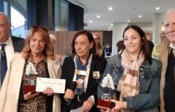 Burraco Vercelli prima associazione per numero di tornei organizzati