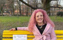 Una vercellese alla Camera per parlare di endometriosi