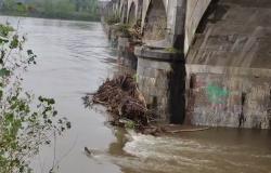 Pioggia battente, ma il fiume Sesia non preoccupa