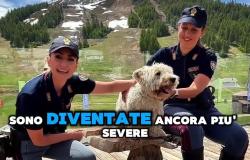 "Se non ti porto non parto": la campagna della Polizia contro gli abbandoni estivi