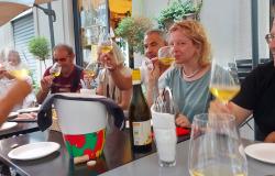 "Io bevo romagnolo": Slow Food promuove i prodotti di cantine alluvionate