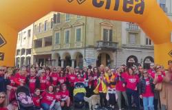 VIDEO: Camminata in Rosa, la partenza a Vercelli