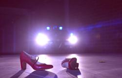 Violenza sulle donne: il video dell'Arma dei carabinieri