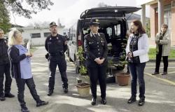 “Un albero per salute” all’ospedale Sant’Andrea