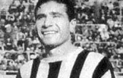 Depetrini tecnico illustre dei Leoni