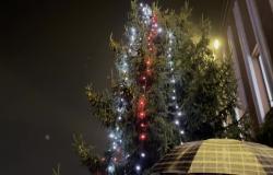 Acceso l'albero di Natale del Rione Isola