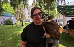 Il favoloso mondo dei rapaci