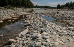 Siccità: i dati più allarmanti arrivano dal fiume Sesia