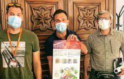 Lotta alle zanzare: al via i trattamenti larvicidi