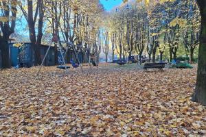 Le foglie di piazza Mazzini sono belle solo da vedere