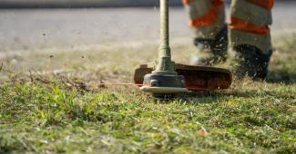 Vercelli: parte l'appalto per il Piano cura del verde 2026-2029