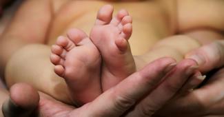 Bonus nuovi nati 2026: aperte le procedure per le domande