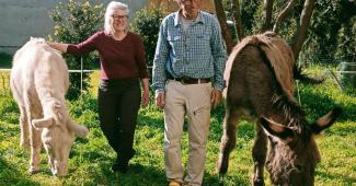 Sugli asini, dalla Svizzera a Roma passando da Vercelli