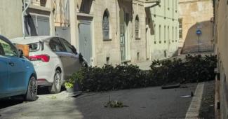 Fioriere sopra un'auto a Vercelli per il vento