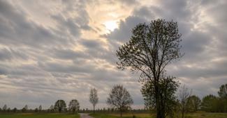 Variabilit&agrave; e temperature attorno ai 20 gradi