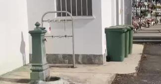 "Nuvola di vespe nella fontanella al cimitero di Billiemme"