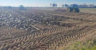 Le prove in Campo (VIDEO)