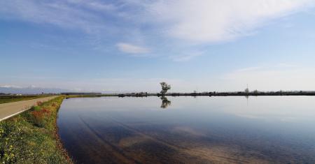 Nella Pac 10 miliardi in pi&ugrave; agli agricoltori italiani