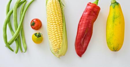 Giornata mondiale dell'alimentazione: giovedì 16 ottobre