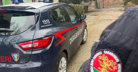 Bracconaggio nella pianura vercellese