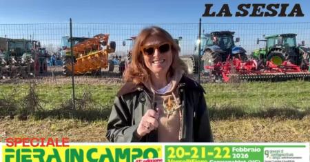 Fiera in Campo, donne e riso