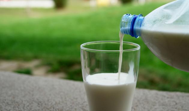 Crisi del latte, Cia Piemonte: "Accordi non rispettati in modo omogeneo"