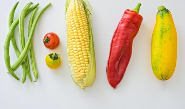 Giornata mondiale dell'alimentazione: giovedì 16 ottobre