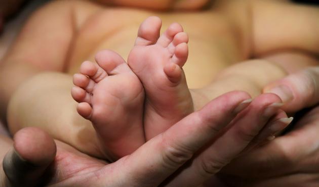 Bonus nuovi nati 2026: aperte le procedure per le domande