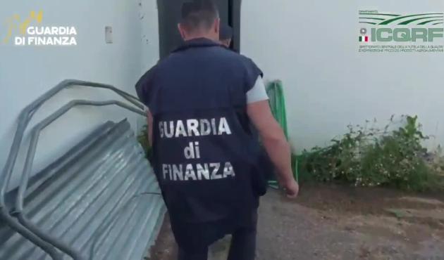 Sequestrati 2,5 milioni di litri di vino falsamente certificati Dop e Igp