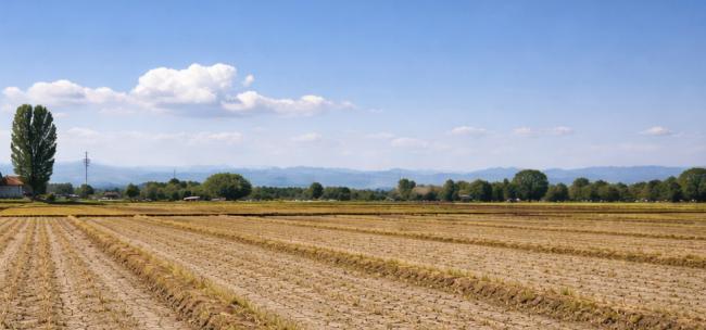 Condizioni metereologiche variabili tutta la settimana