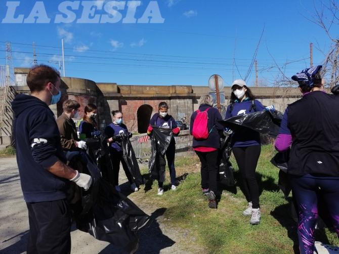Pulizia sponde fiume Sesia