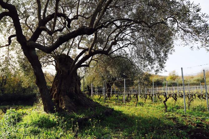 Etna marzo 2021