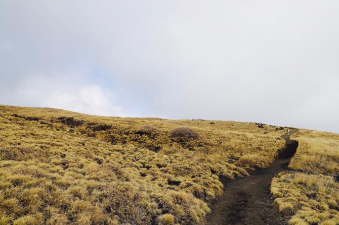 Etna marzo 2021