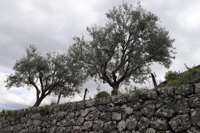 Etna marzo 2021