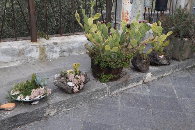 Etna marzo 2021