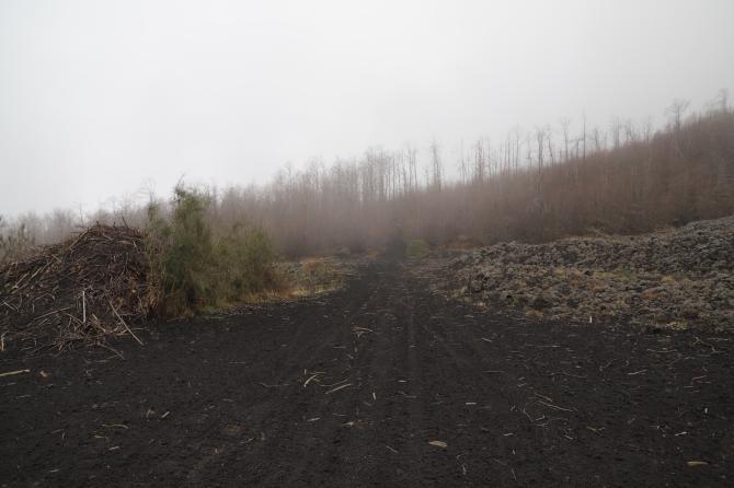 Etna marzo 2021