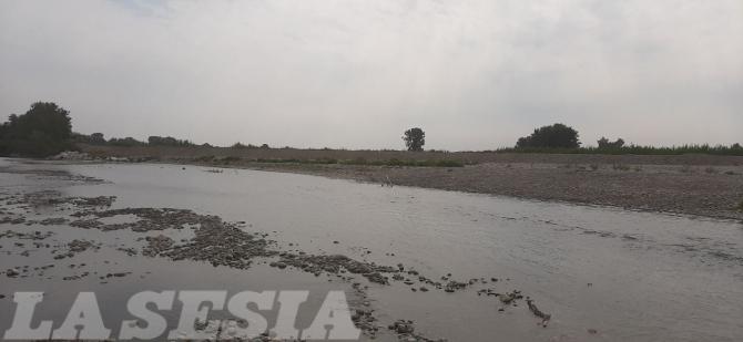 Lavori sull'argine del fiume Sesia