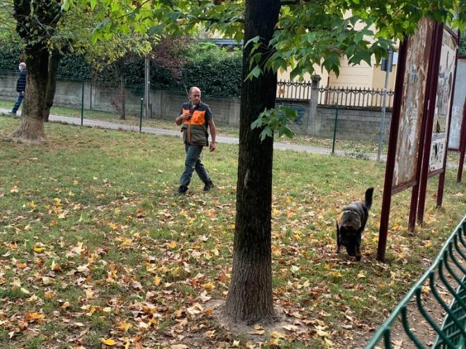 Novara cane anti veleno