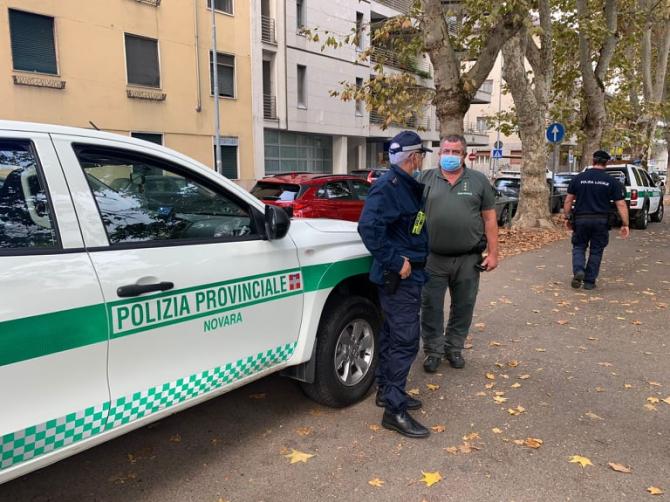 Novara cane anti veleno