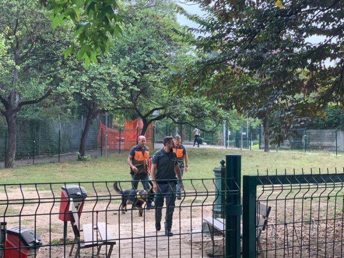 Novara cane anti veleno