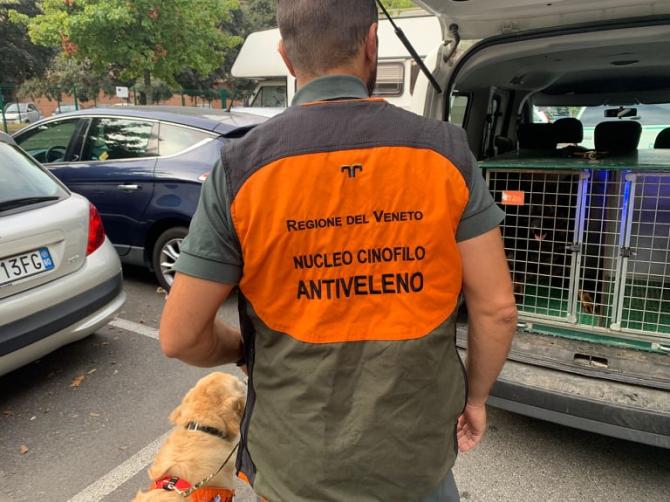 Novara cane anti veleno
