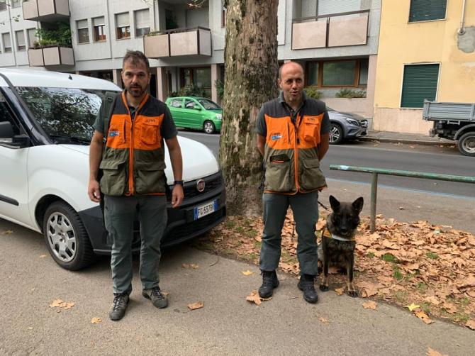 Novara cane anti veleno