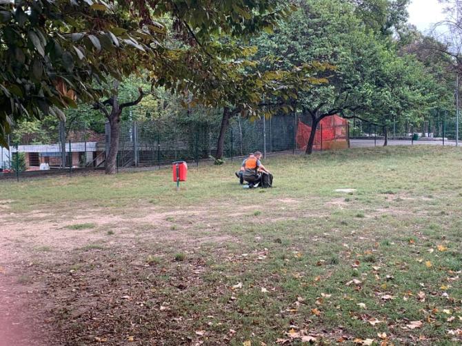 Novara cane anti veleno