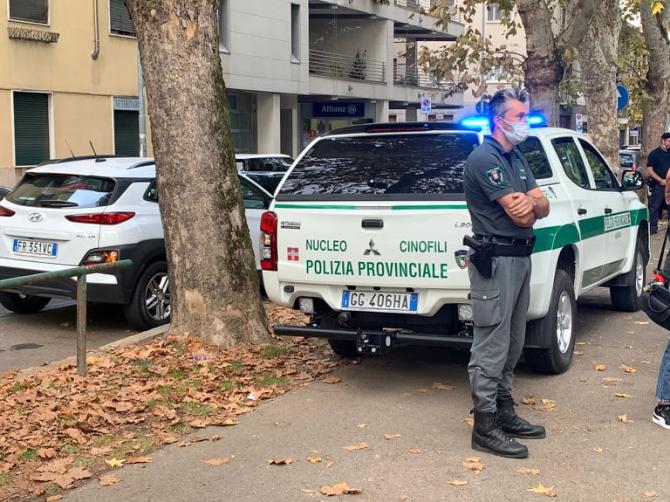 Novara cane anti veleno