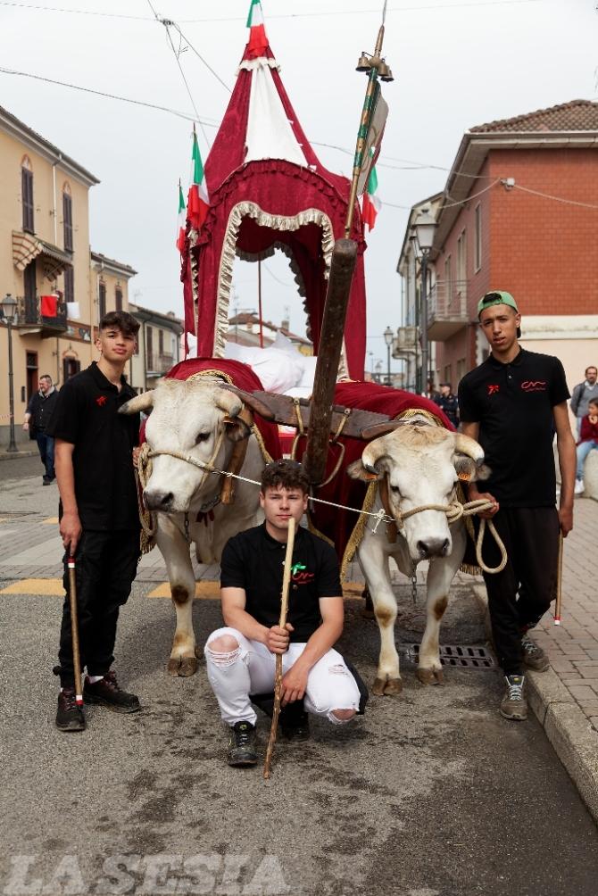 Asigliano corsa dei buoi 2002
