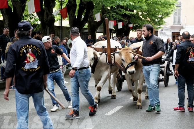 Asigliano corsa dei buoi 2002