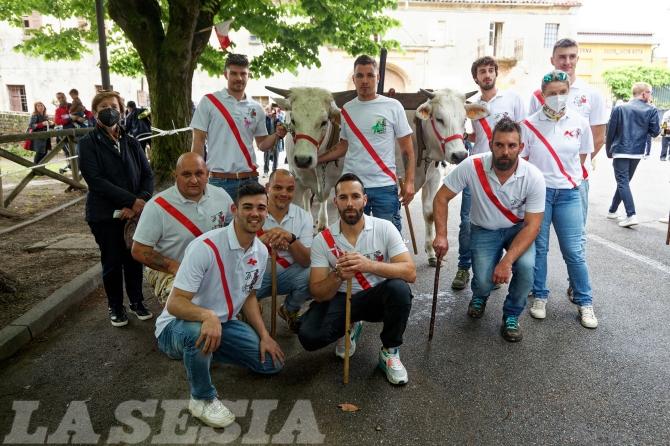 Asigliano corsa dei buoi 2002