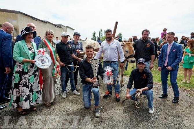 Asigliano corsa dei buoi 2002