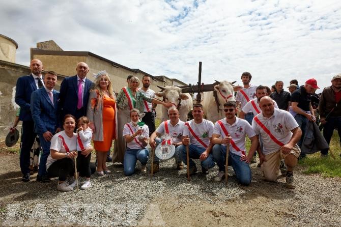 Asigliano corsa dei buoi 2002